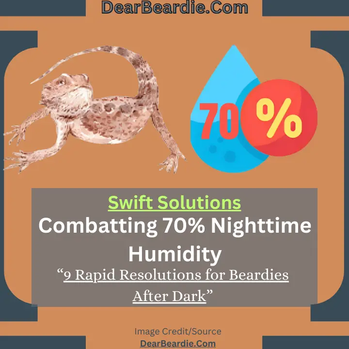 Bearded Dragon Humidity 70 At Night