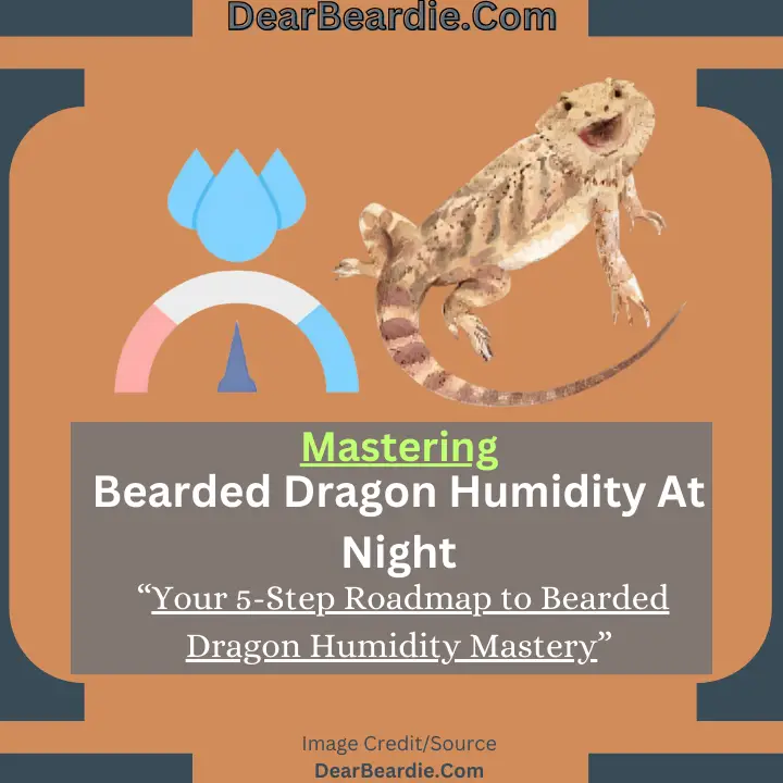 Bearded Dragon Humidity At Night