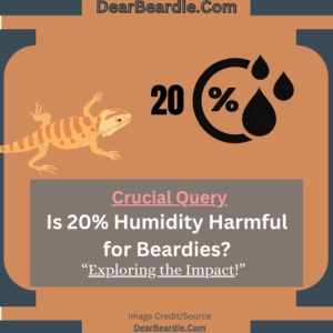 Is 20 Humidity Too Low For Bearded Dragon