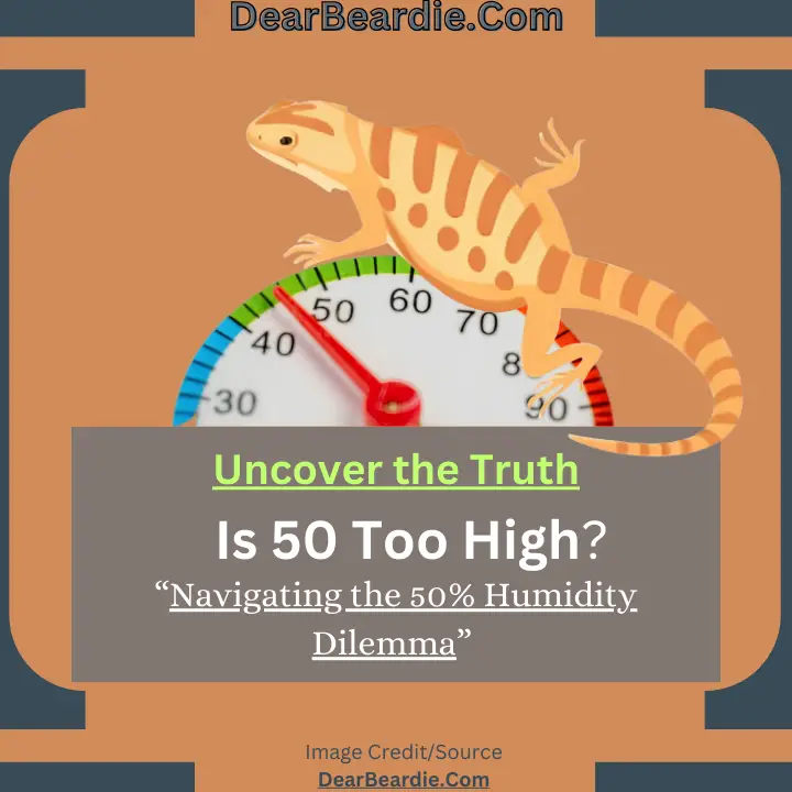 Is 50 Humidity Too High For Bearded Dragon