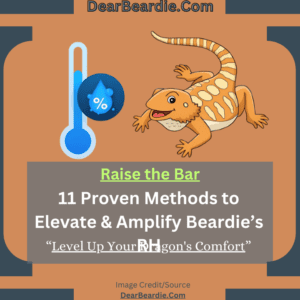 how to increase humidity in bearded dragon tank how to raise humidity in bearded dragon tank