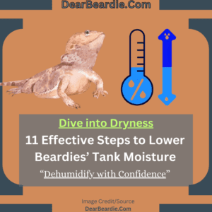 how to lower humidity in bearded dragon tank
how to decrease humidity in bearded dragon tank
