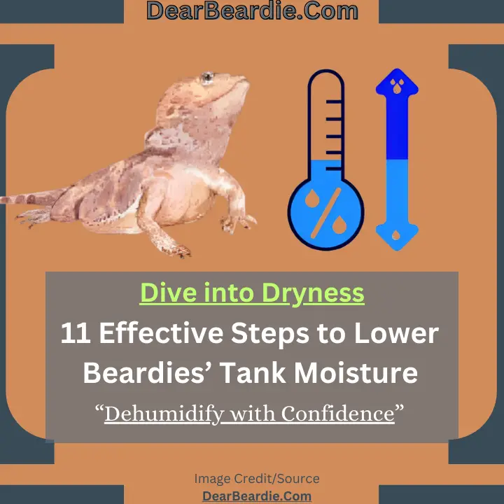 how to lower humidity in bearded dragon tank how to decrease humidity in bearded dragon tank