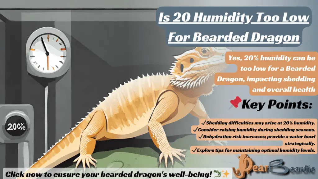 is 20 humidity too low for bearded dragon