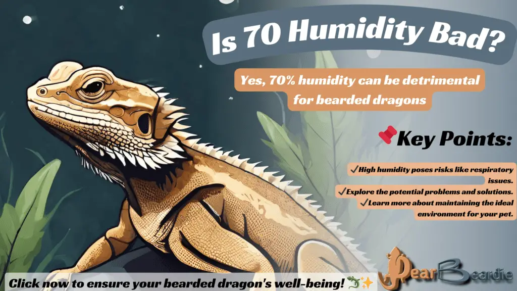 is 70 humidity bad, bearded dragon humidity 60, bearded dragon humidity 70 at night, 
